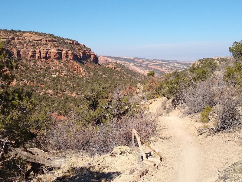 Windmill Singletrack