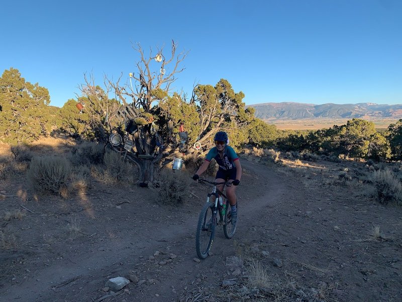 Riding past the Voodoo Tree on Big Hole Loop.