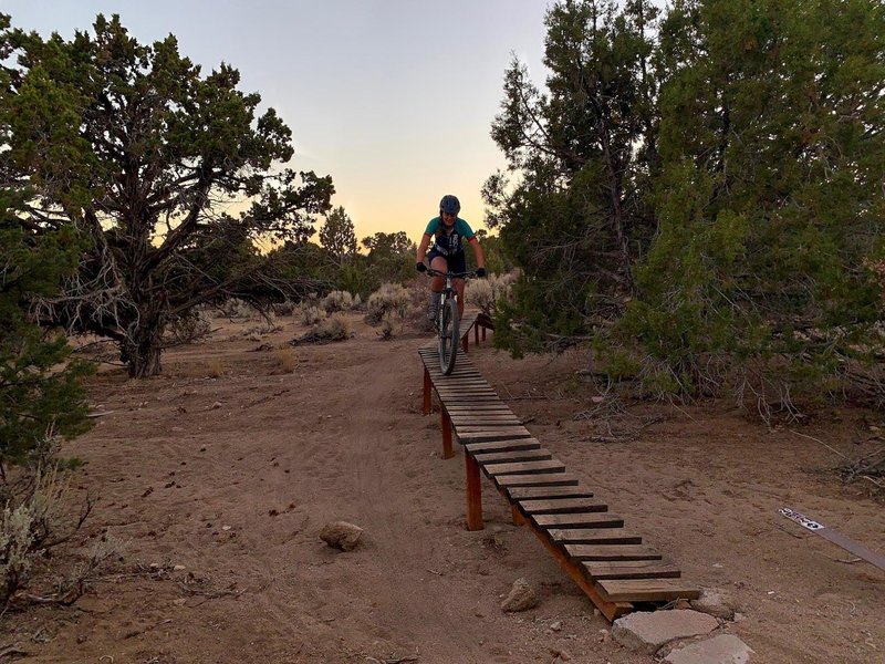 A ladder bridge on the Three Peaks Loop.