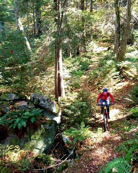 Kennison Mountain Trail with fall colors.