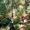 Kennison Mountain Trail with fall colors.