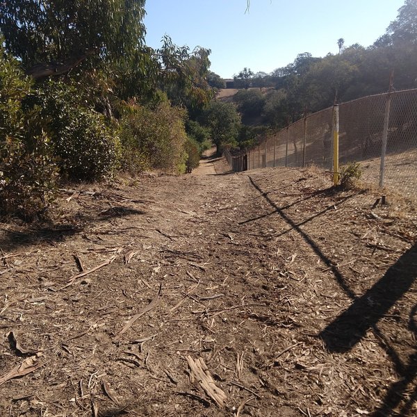 Gentle Hill, llamas and horses in the fences.