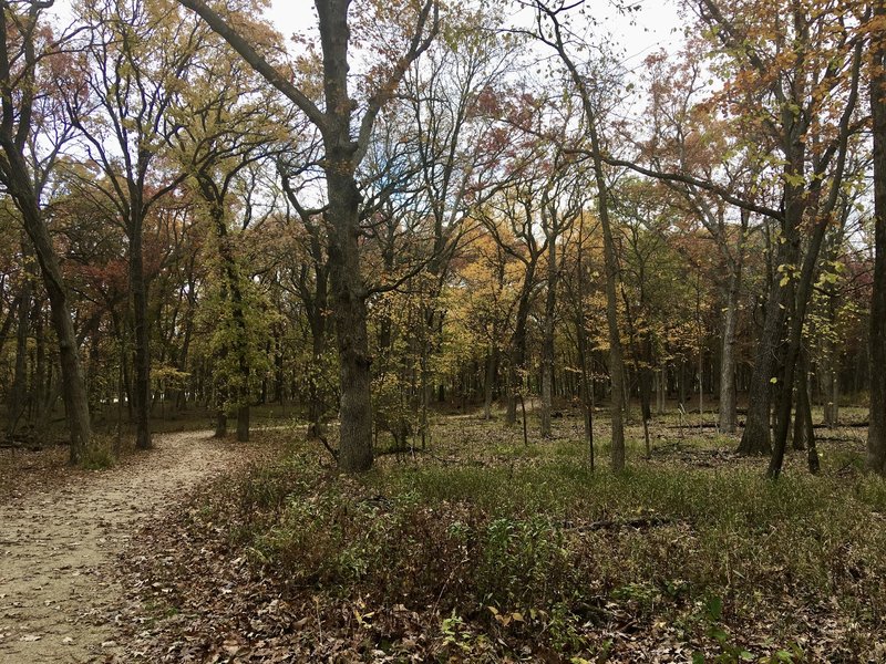 Late fall view of Old School Yellow Loop near western entrance.