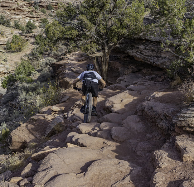 The techy side of Horsethief Bench.