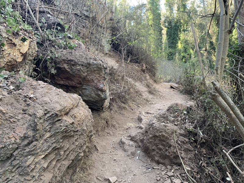 Looking up the little rock garden on the Lower Historic Trail (it continues up and around the corner).