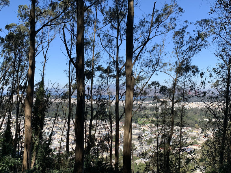 Amazing view over GG Park from the Upper Historic Trail.