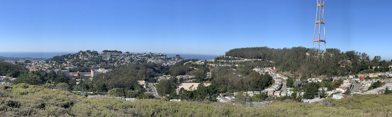 Looking over the Laguna Honda singletrack (forested valley on the left) and Mt Sutro Open Space single tracks (forested hills centre right).