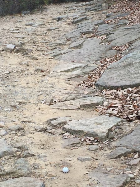 Typical rocky section on trail.