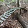 Tall ramp over log on Zig Zag trail at Blythe Island Regional Park.