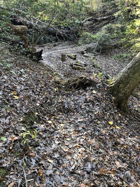 A tree is down blocking the trail about halfway through the section. We had to walk our bikes around. The tree is leaning against another tree & looks like the continuous rain lately has caused the tree to fall.