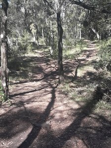 First Rock Garden of Doom.