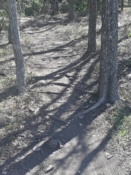 Right after the rock garden climb so you're still powering uphill.