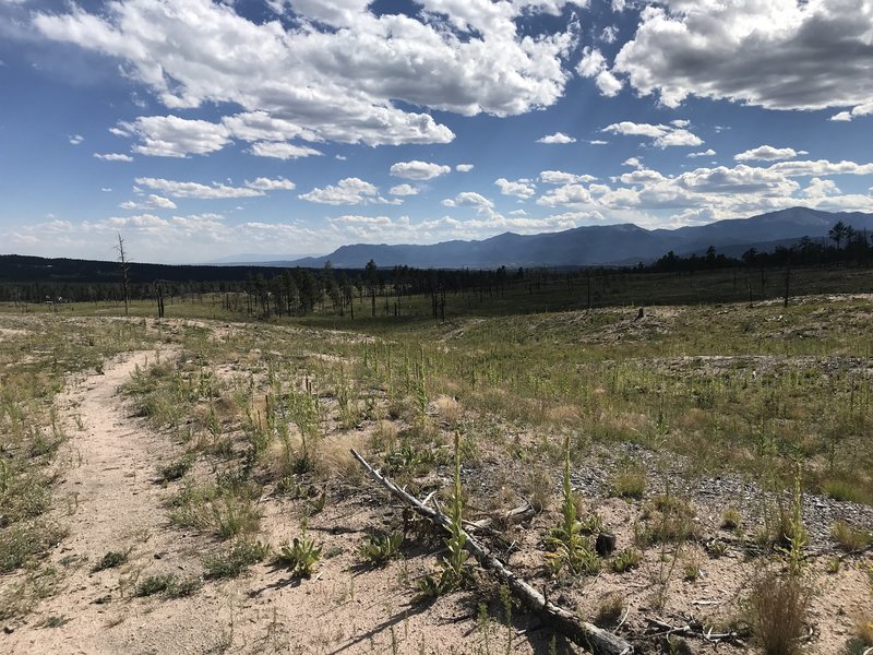 Top of the trail with Pikes Peak off in the distance. Good down hill start of the trail.