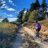 Reaching the treeline in November on Big Tree Cucamonga Trail.