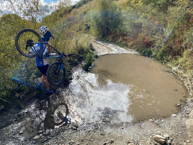 Spring crossing in November on the Big Tree Cucamonga Trail.