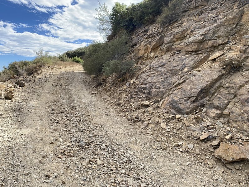 A little rocky for 40mm on some stretches of the Big Tree Cucamonga Trail.