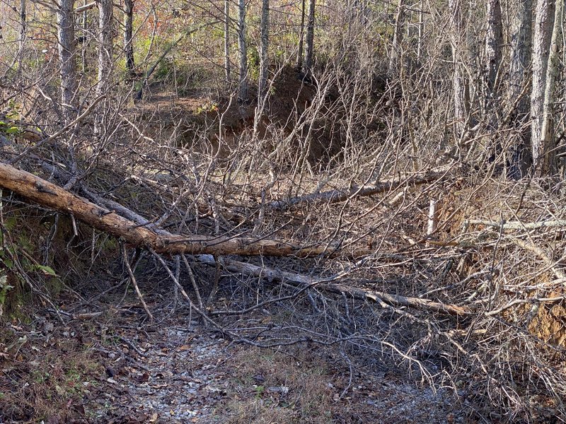 First entrance totally blocked, need to lift bikes up on the left side of trail going up or right side of trail coming down.