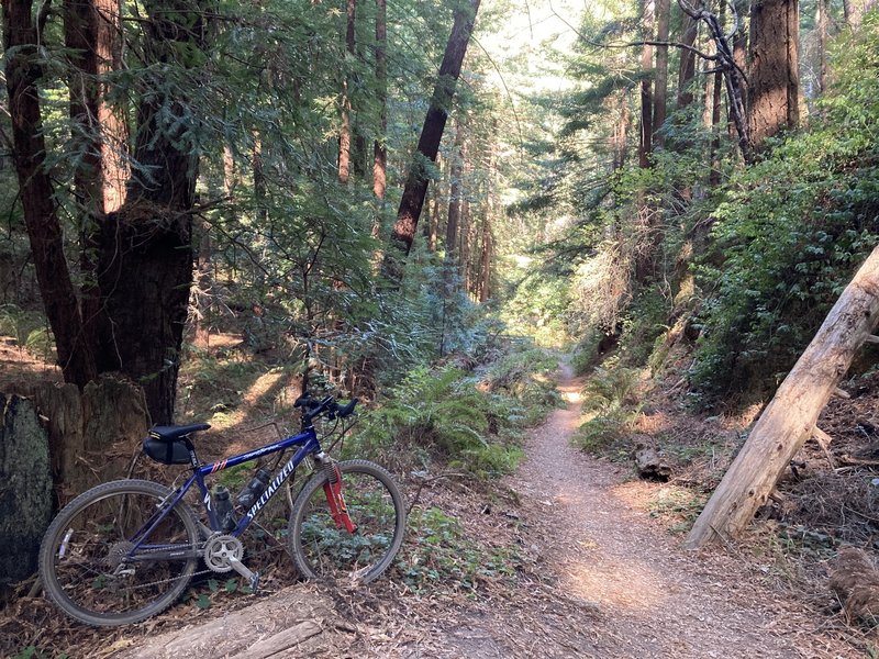 Grabtown Gulch Trail