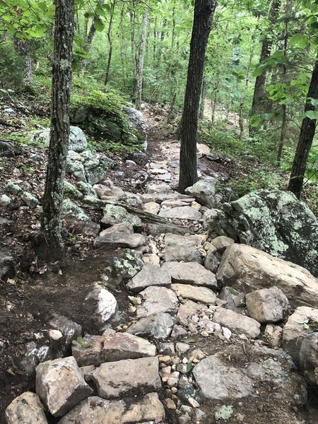 One of many rock gardens