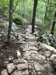One of many rock gardens