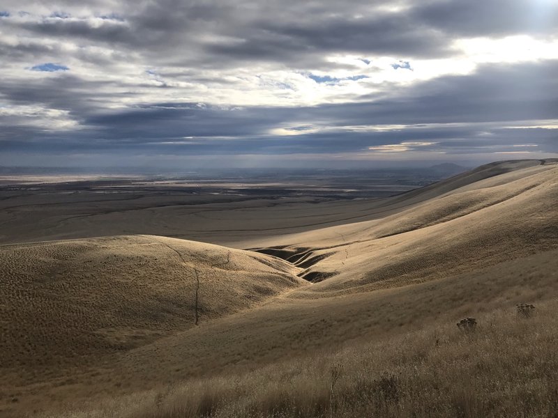 Rattlesnake Mountain, Richland, WA