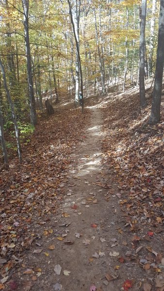 90% of the trail conditions when dry--hard packed, nothing technical, moderate climbs and decents.