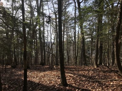 View toward Otsego Lake from the top of the ridge