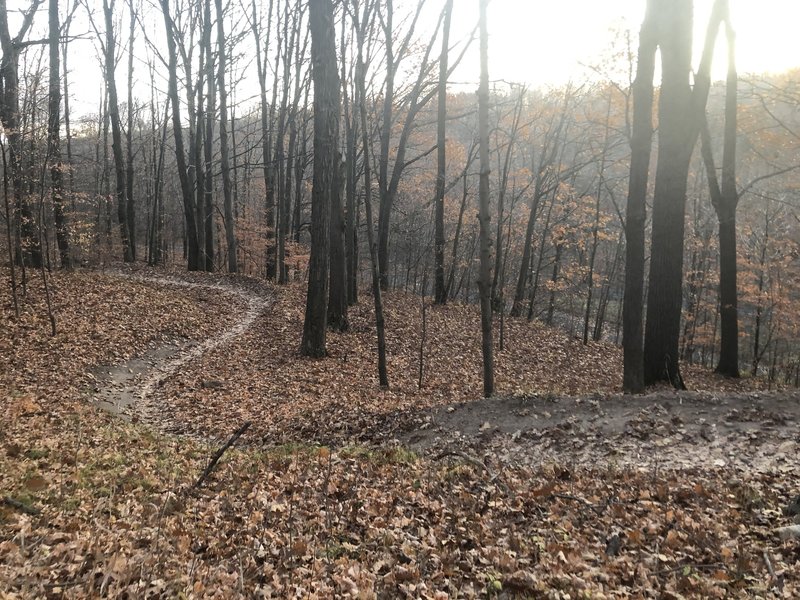 What an unbelievably awesome November day for a bike ride.