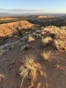 The view!