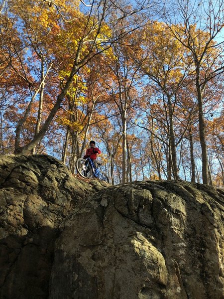 Looking for an easier way down...