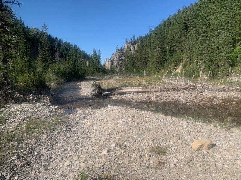 Multiple back-and-forth crossings of Cottonwood Creek