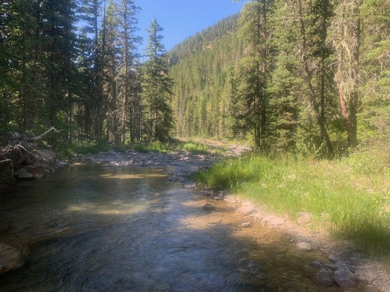 Multiple back-and-forth crossings of Cottonwood Creek