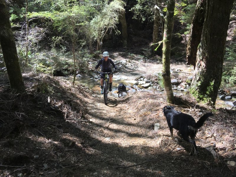 Fording the Upper Six Mile Creek