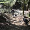 Fording the Upper Six Mile Creek