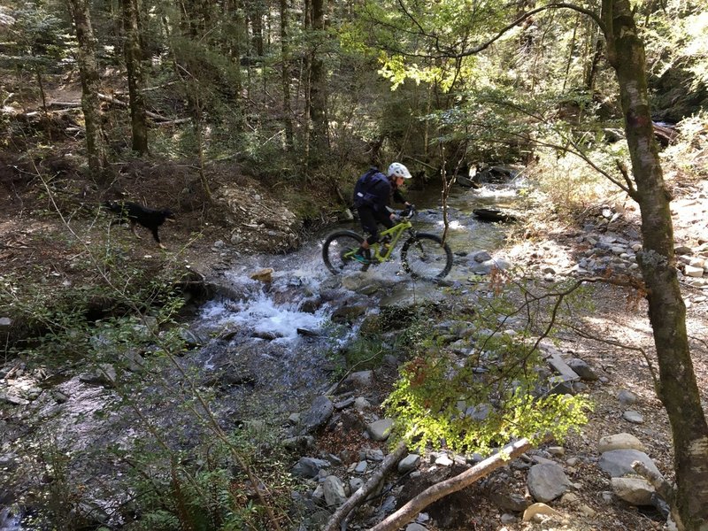 Descending the trail across the Upper Six Mile Creek