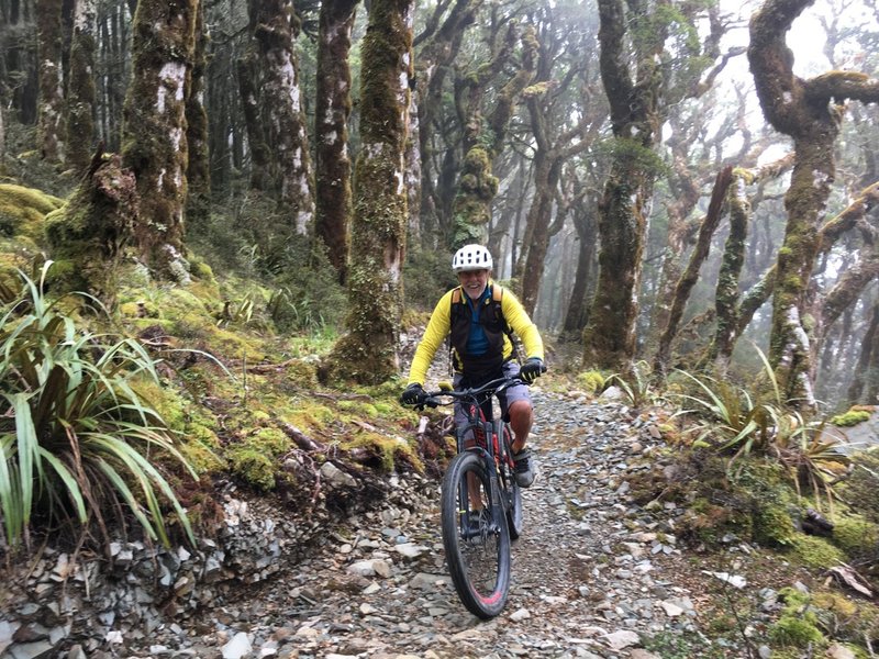 Much of the trail is a good gravel surface