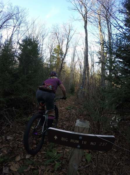 Laura Jewell starting down Big Run from Fork Mtn Trail