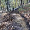 Hand bench cutting the new Hovermale Homestead trail.