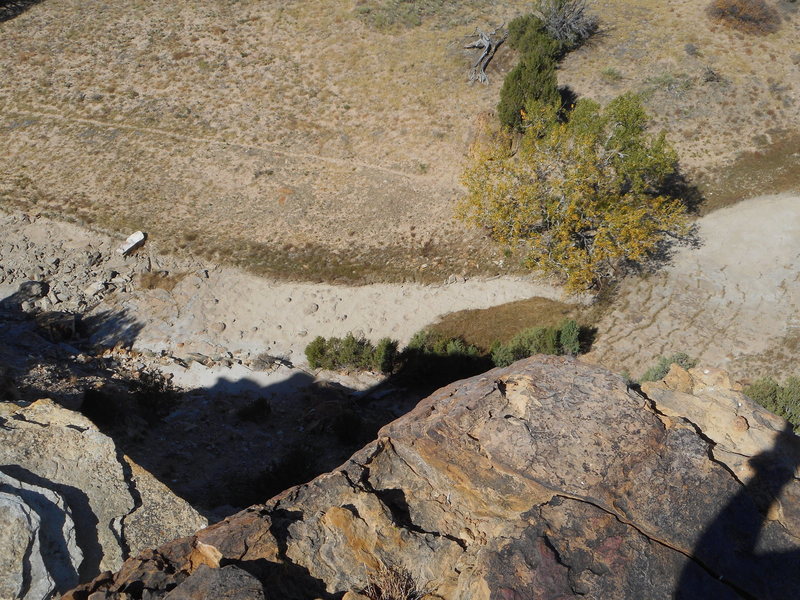 Dinosaur tracks from canyon rim.