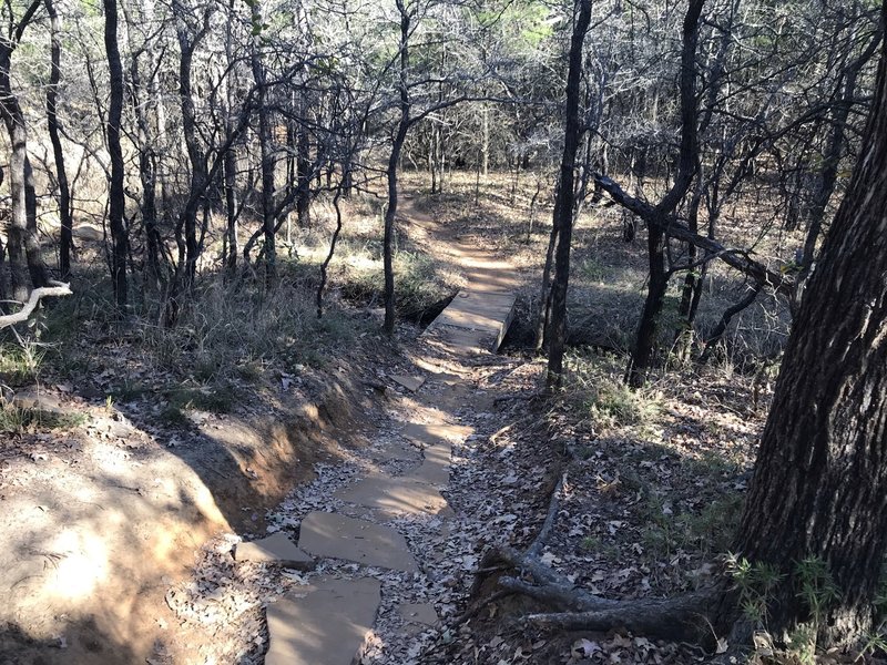 This trail has some descent challenging spots.