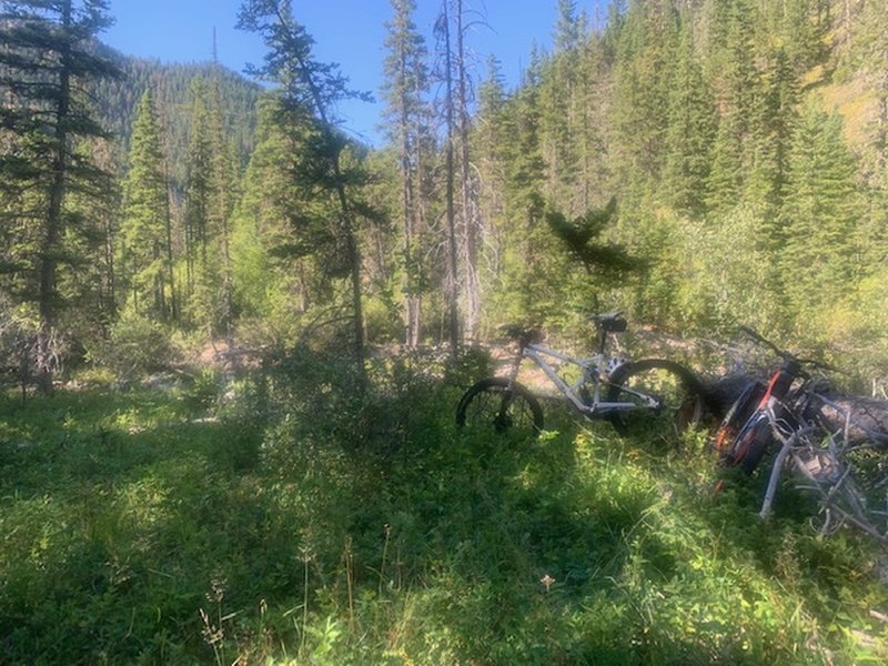 Looking north just up from where East Fork Cottonwood Creek meets Cottonwood Creek. Bikes were stashed in this clearing and the remainder of the route hiked due to deadfall and faint to nonexistent trail.