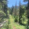 Looking south toward Greathouse Peak along a brief section of identifiable trail.