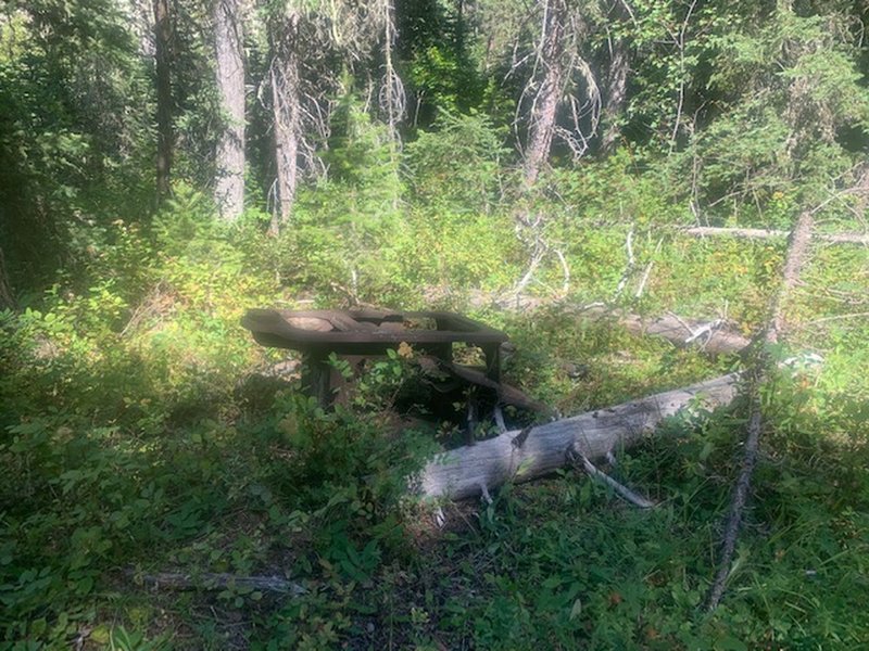 An old stove from decades gone by rests silently in the forest. If you see it, you are indeed on route even though it may seem otherwise.