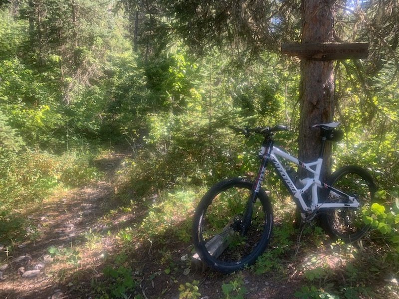 Looking south at the lone trail sign on route.