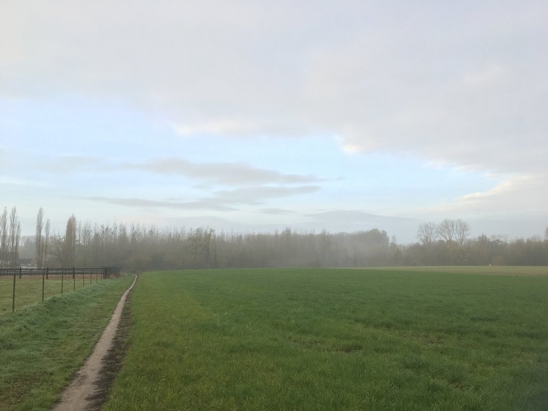 Singletrack to the south.