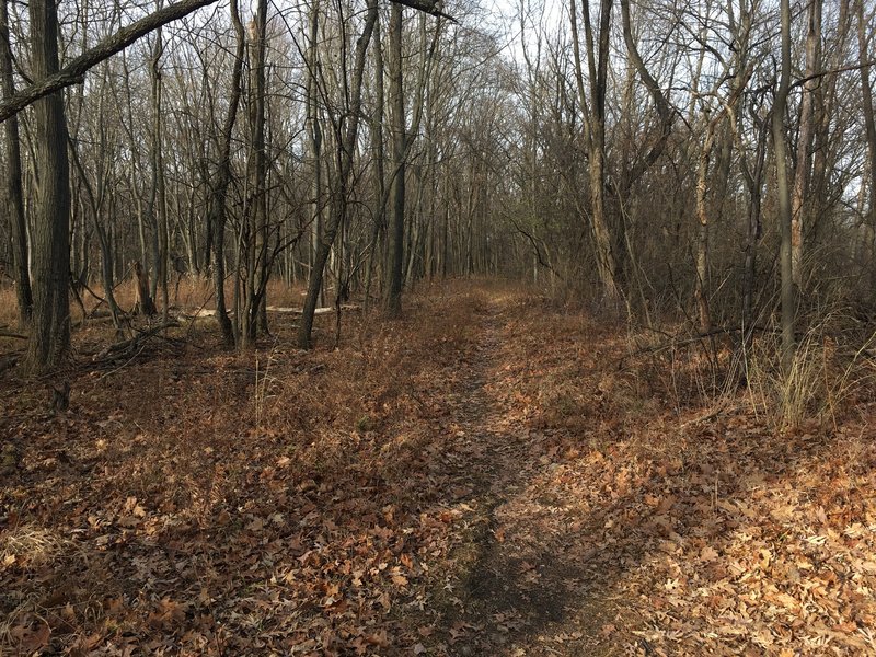 Access Trail to Hillside Rd