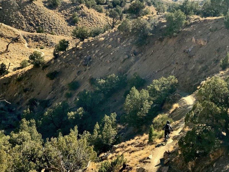 Picturesque section of Chutes & Ladders