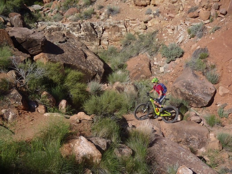 Looking lost amongst the rocks