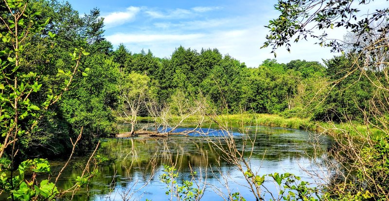 A scene along the trail.