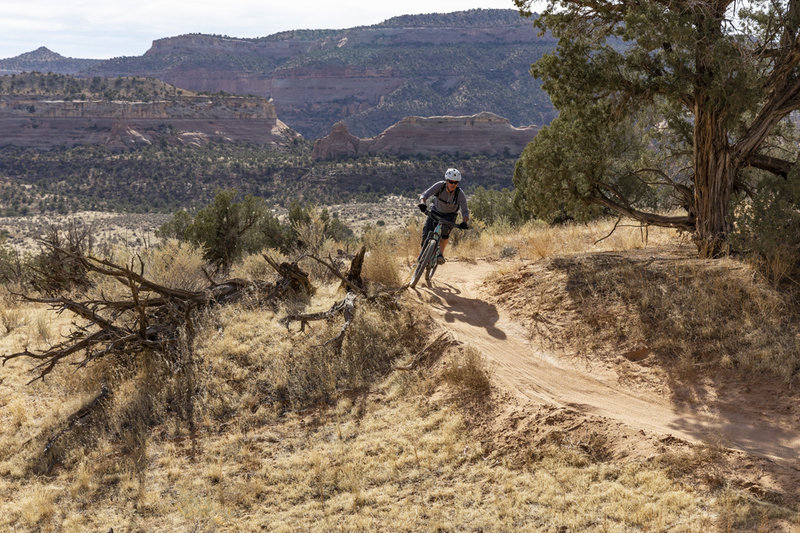 At every point on this trail the views are stunning!